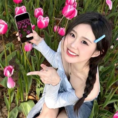 疯人计划